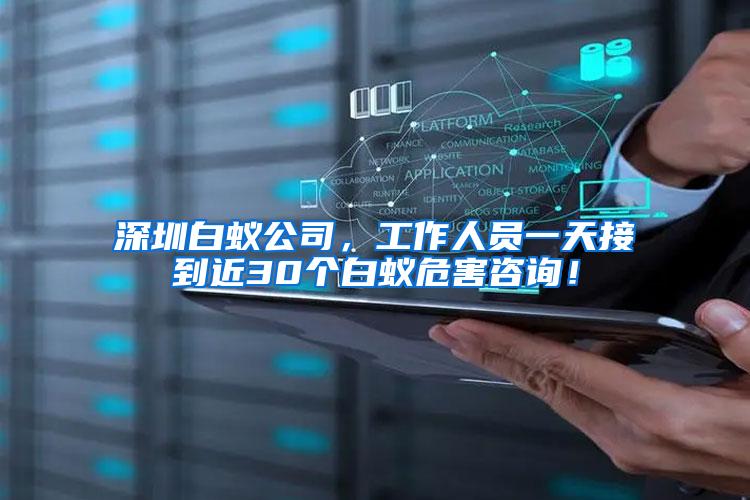 深圳白蟻公司，工作人員一天接到近30個(gè)白蟻危害咨詢！